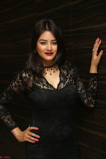 Actress Monica in spicy transparent Black Top at O Pilla Nee Valla Movie Audio Launch Feb 2017 067.JPG