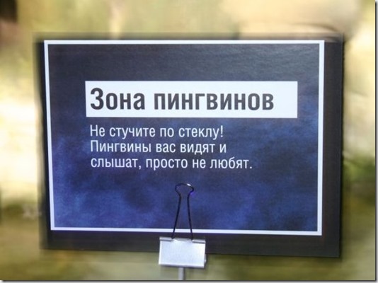 00t6hg1f