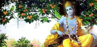 best latest Lord Krishna HD Wallpapers,Images And Photos for free download 20