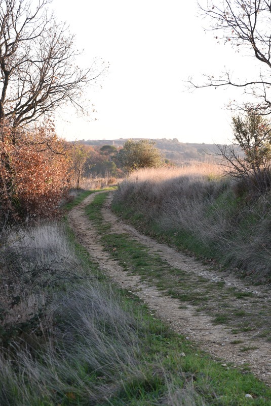 DSC_6798b