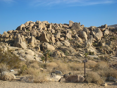 Sunset Geology Tour Joshua Tree National Park