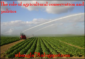 The role of agricultural conservation and politics