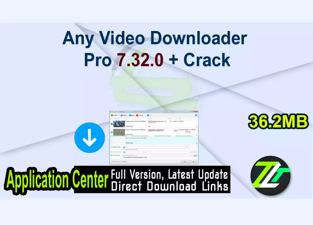 Any Video Downloader Pro 7.32.0 + Crack