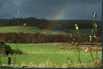 rainbow