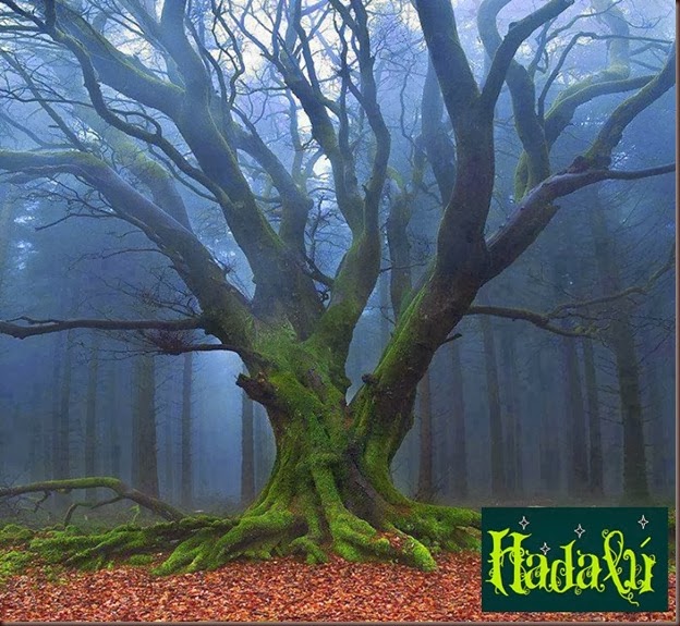 Hadalu2014arbolesmagicos15