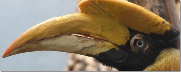 B0003433