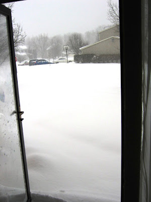 This was my view of my front yard, driveway and street… I think.