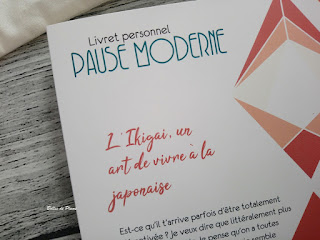 Bulles de Plume - Box Pause Moderne Février 2019 - La Minutieuse