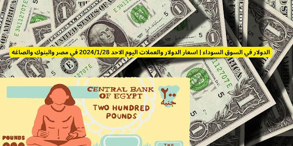 ارتفاع غير طبيعي: أسعار الدولار والعملات الأجنبية أمام الجنيه المصري في السوق السوداء