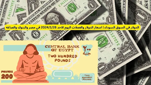 ارتفاع غير طبيعي: أسعار الدولار والعملات الأجنبية أمام الجنيه المصري في السوق السوداء