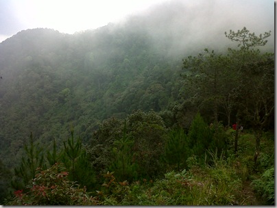 Hutan Hujan Tropis