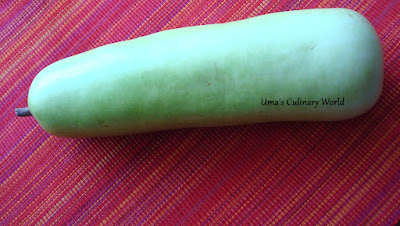 lauki or dudhi or bottle gourd