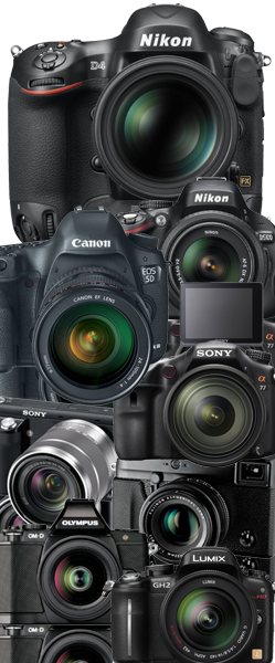 Best digital camera 2013