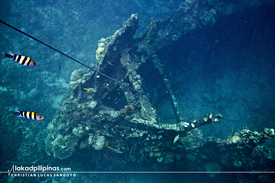 Skeleton Wreck Coron