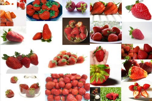 Fotografías de fresas listas para comer (27 imágenes) 