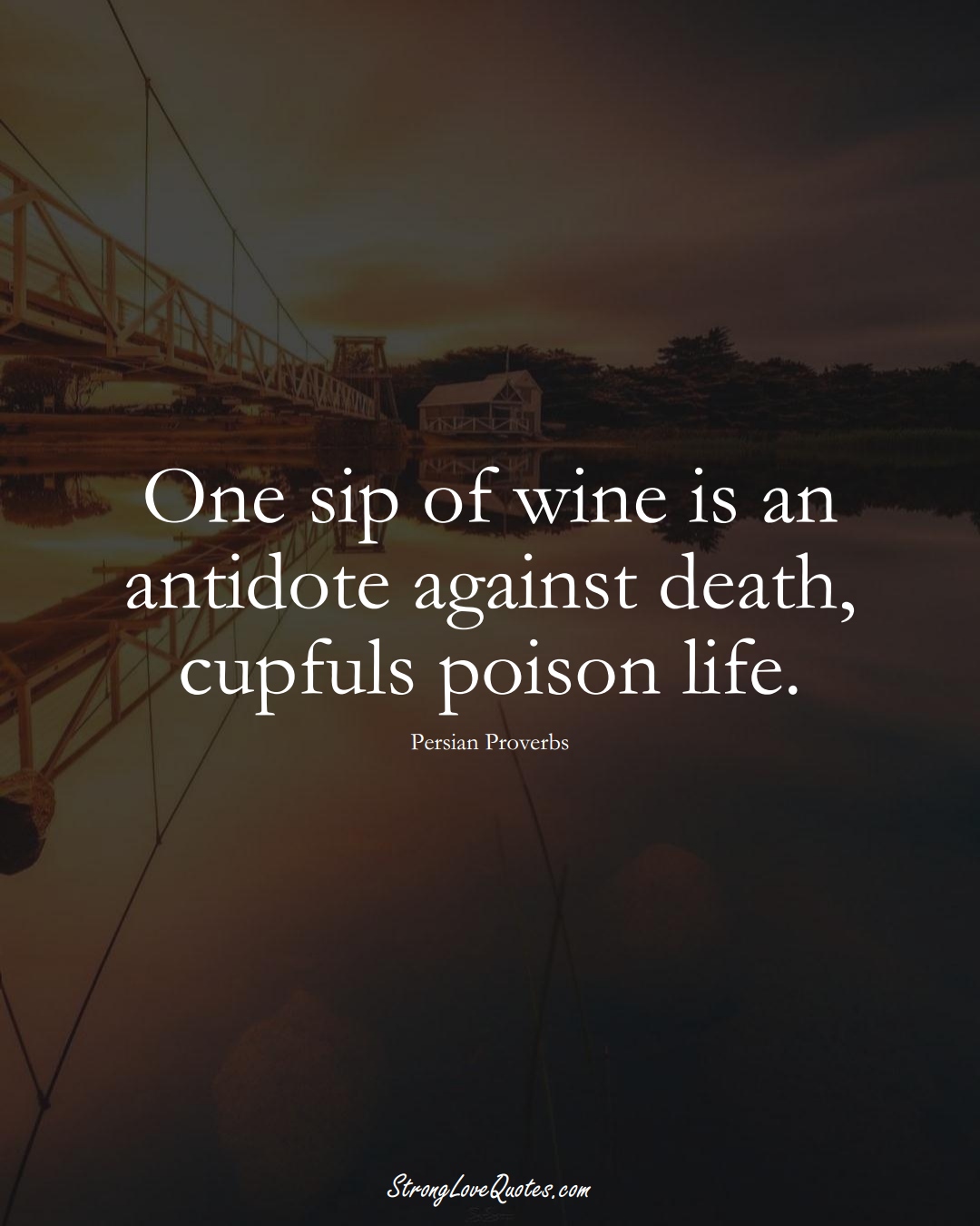 One sip of wine is an antidote against death, cupfuls poison life. (Persian Sayings);  #aVarietyofCulturesSayings