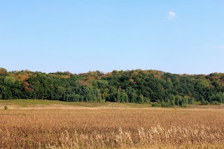 photo of  fall colors barely noticeable