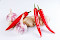 Street Food Toulouse