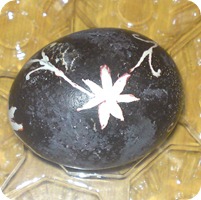 DSC02105