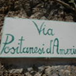 Ver álbum