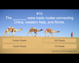 The correct answer is Silk Roads.