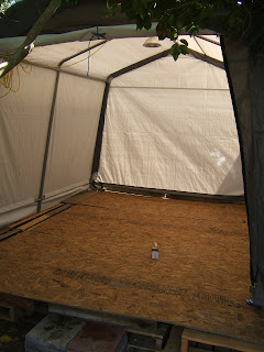 Nine Red  September 2010