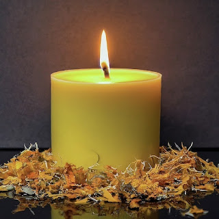 Marigold Mojo Candles
