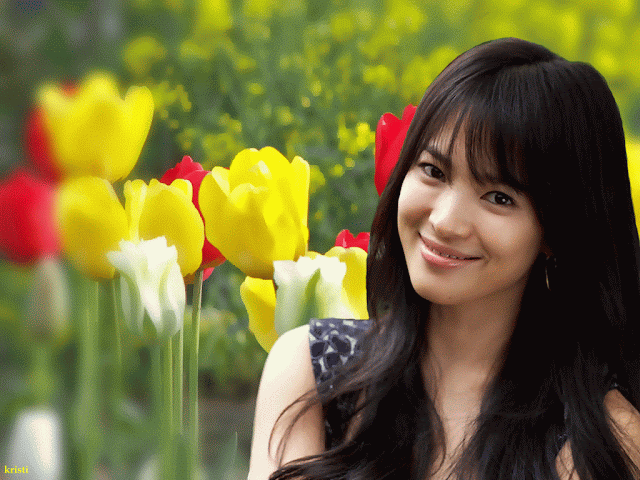 Song Hye kyo HD Wallpapers Free Download