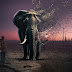  Elephant Dispersion Photoshop Effect