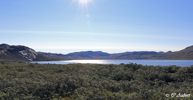 fjord de Kangerlussuaq, Groenland