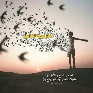اجمل صور عن الحياة