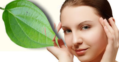 5 Benefits Betel Leaf for Face