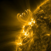 NASA SDO image of solar magnetic loops