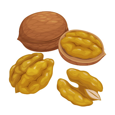 100+ Free Cartoon Images of Walnut dry fruit