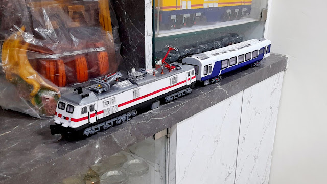 Vistadome train model
