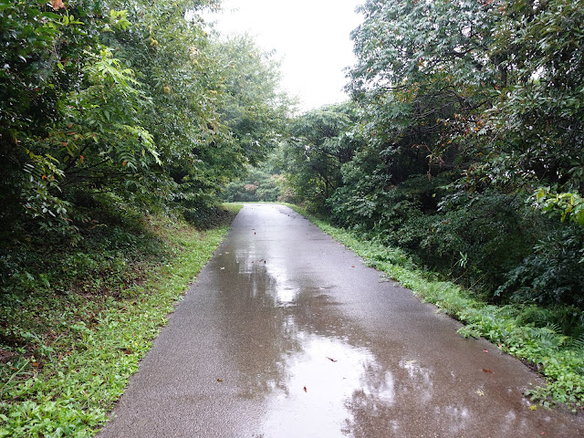 むきばんだ史跡公園の弥生の森遊歩道