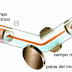 Masas atómicas y masas moleculares. Mol. Número de Avogadro. Masa molar