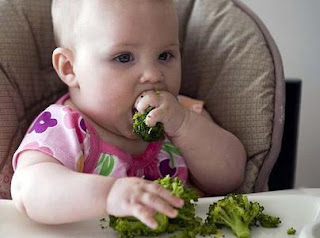 Baby Led Weaning (BLW) Bayi mandiri dalam proses makan 