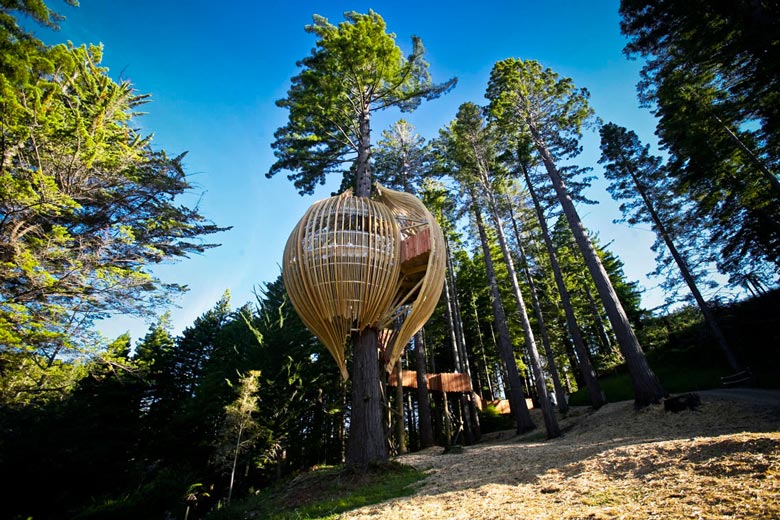 Yellow Treehouse Restaurant New Zealand Zabavnik Yellow Treehouse Restaurant New Zealand Zabavnik
