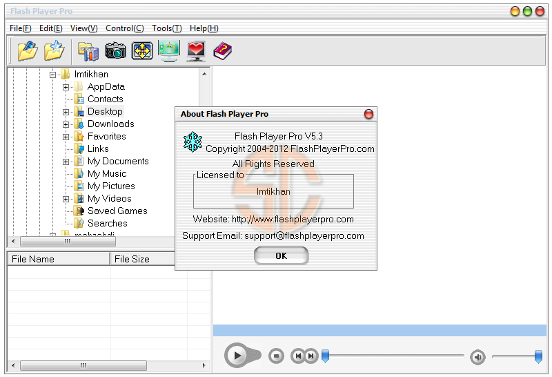 Flash Player Pro 5.3 Full Version