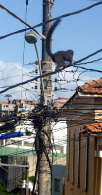 Curto circuito entre Prefeitura  e Coelba