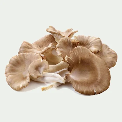 Fresh mushroom supplier