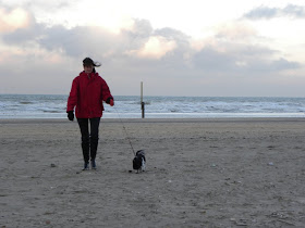 De Panne Demuinck Pardon