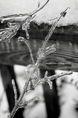 winter, snow, leesburg va, ice, winter wonderland, Virginia photographer, nature, landscape photography, frozen, 100mm f/2.8 Macro, canon, photoblog, loudoun county, 