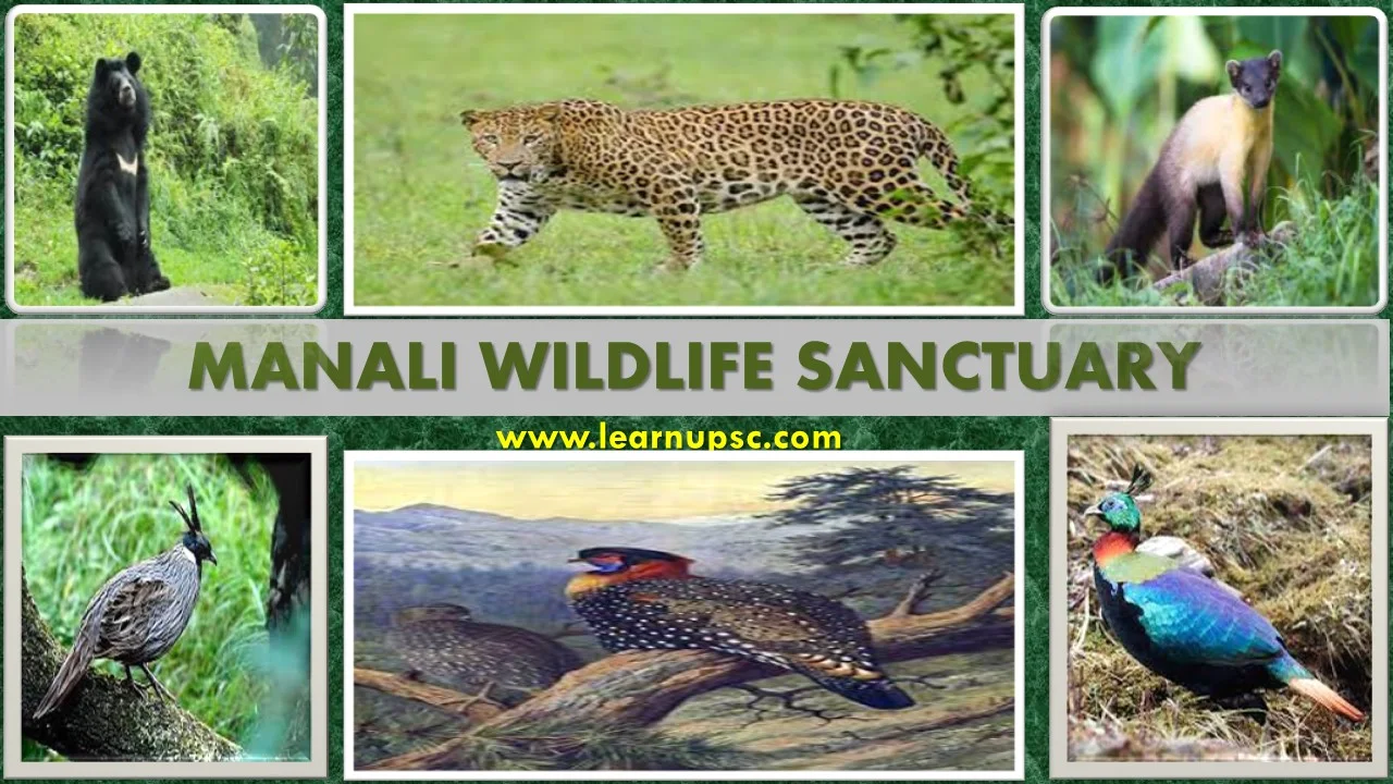 Manali Wildlife Sanctuary