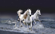 Caballos blancos saliendo del marWhite horses in the sea