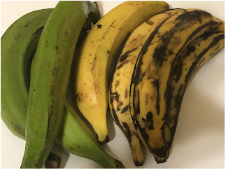 Plantain (Musa Paradisiaca) Green(unripe) Yellow(ripe)