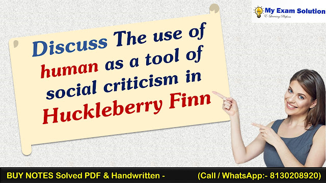 Discuss the use of human as a tool of social criticism in Huckleberry Finn