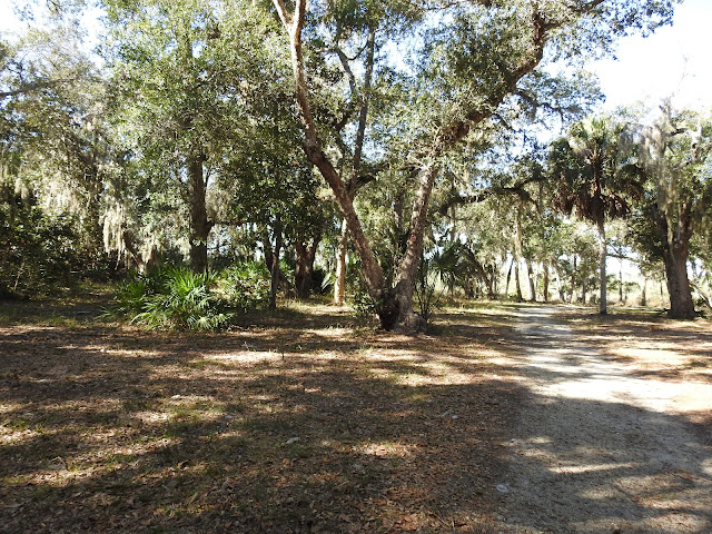 Washington Oaks Gardens State Park