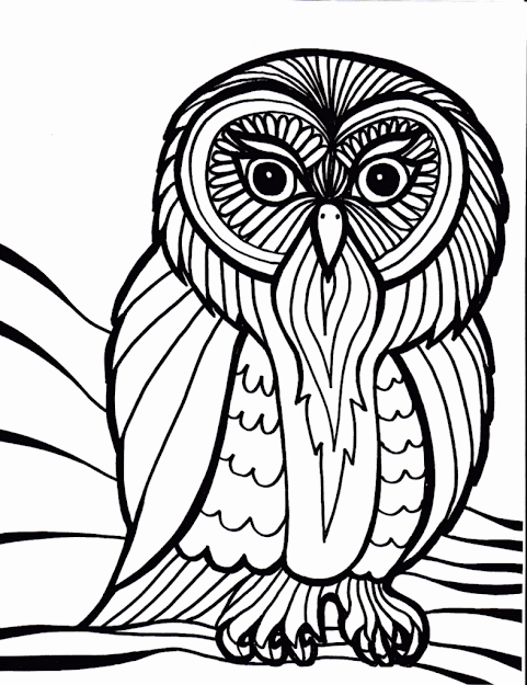 Free Detailed Owl Coloring Pages Owl Coloring Pages For Adults Printable  Free Owl Coloring Pages For Adults